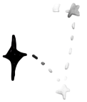 Constellation